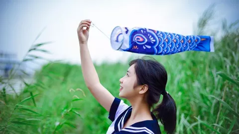 全红婵网暴事件解析