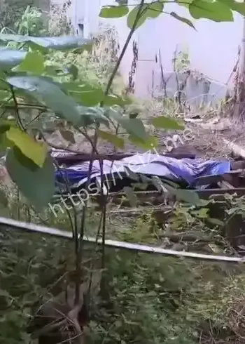 南京男子捡鞋坠绿化带深坑身亡