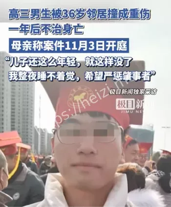 高三男生被邻居撞伤致死开庭