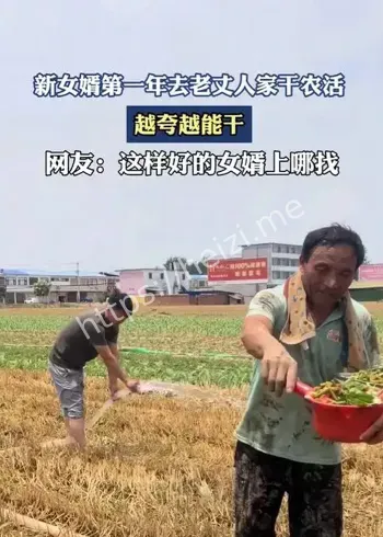山东老女婿帮丈母娘秋收